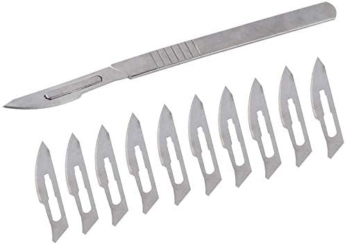 Image of Forgesy 1 Set of 10PCS. #10 NO. Carbon Steel Scalpel Surgical Blades +# 3 NO. B.P. Handle