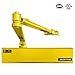Heavy Duty, Commercial Door Closer D8000DA, ANSI Grade 1, UL 3 Hour Fire Rated, ADA Compliant, Delayed Action, Adjustable Spring Size 1-6 for Doors(44-330LB/30-60 in), Indoor/Outdoor (Brass Gold)