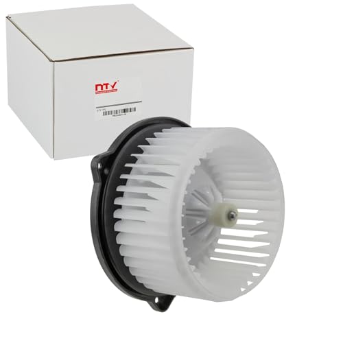 NTY Motor de soplador interior apto para Rav | Ewn-Ty-003