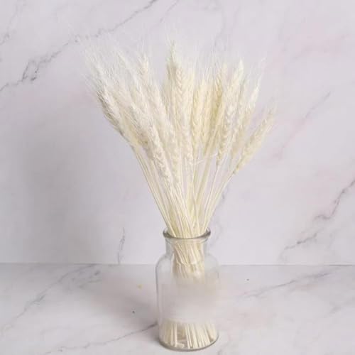 25 piezas de flores secas para decoración de boda miniatura 5