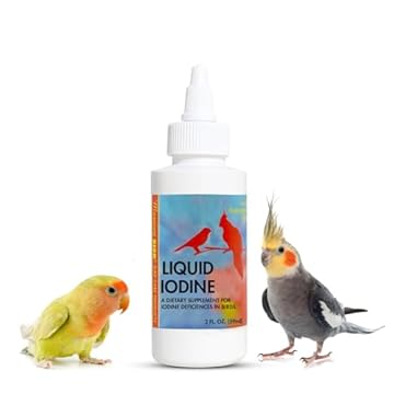 muscular system maintenance for active birds