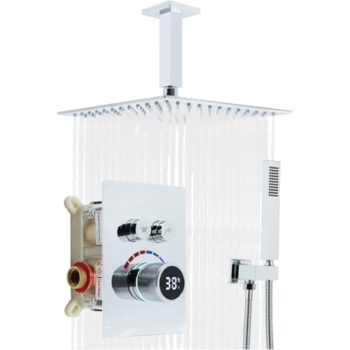 Ensemble de douche haute pression 25,4 cm à double fonction et jet ajustable