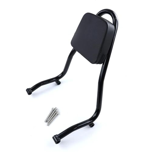 Coussin dossier siège arrière moto appui-dos passager pour R18 100 Ans 2020-2023