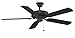 Fanimation Air Decor BP230 Builder Series Ceiling Fan in Black