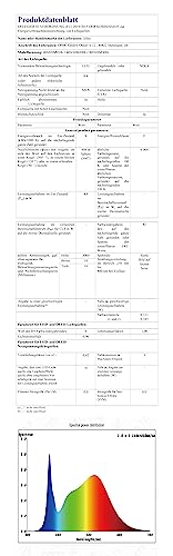 Ollny Lichtervorhang innen 3x3m, 300 LED Lichterkette außen warmweiß wasserdicht, USB Lichterketten Vorhang für Weihnachten Fenster Wand Zimmer Party Deko Gardine Balkon