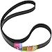 Micro V Belt for Huebsch OEM/for Speed Queen OEM Dryers - 450J8, M411425P (3 Pack)