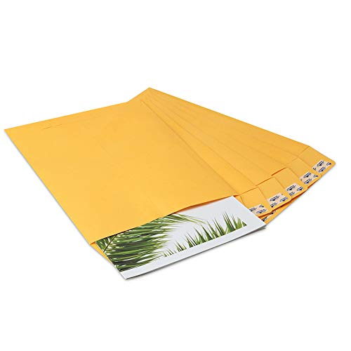 ValBox-9x12-Self-Seal-Security-Catalog-Envelopes-250-Packs-Brown-Kraft-Envelopes-with-Peel-and-Seal-Flap-for-Mailing-Organizing-and-Storage