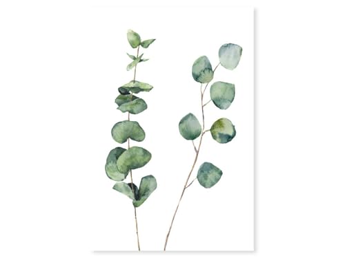 Cartel de Naturaleza de Hoja de eucalipto.