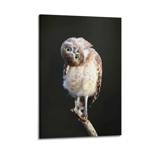 Poster mural chouette ZHOUKEG 50x75 cm suspendu pour décoration