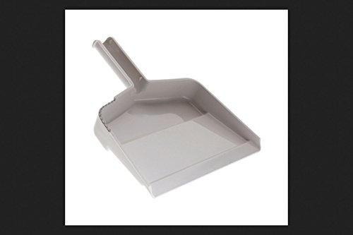 Rubbermaid Home G159 Any Fit Dust Pan(Color May Vary)