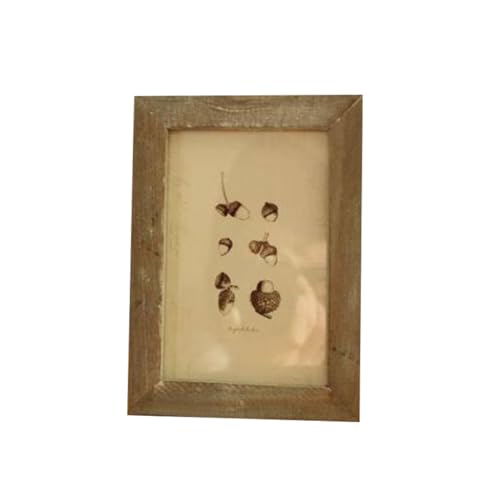 [LSDZW] ʐ^ oYj  tHgt[ AeB[N cu  4fUC 킢 g  ʐ^ v[g Vv i` CeA  j a LO t[ EFJ{[h ʐ^ Ǌ|