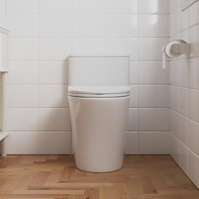 DeerValley Compact One-Piece Toilet, 10" Rough-In, Elongated Bowl, Includes Soft Close Seat, Glossy White Ceramic Finish, Space-Saving Design for Small Bathrooms