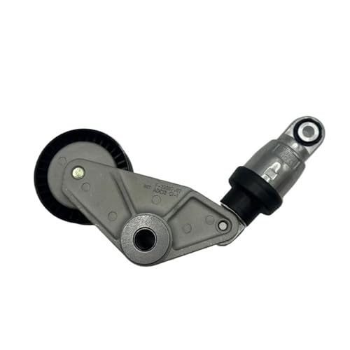 Poulie tendeuse courroie SsangYong Rexton Actyon Kyron 6652000270 galet