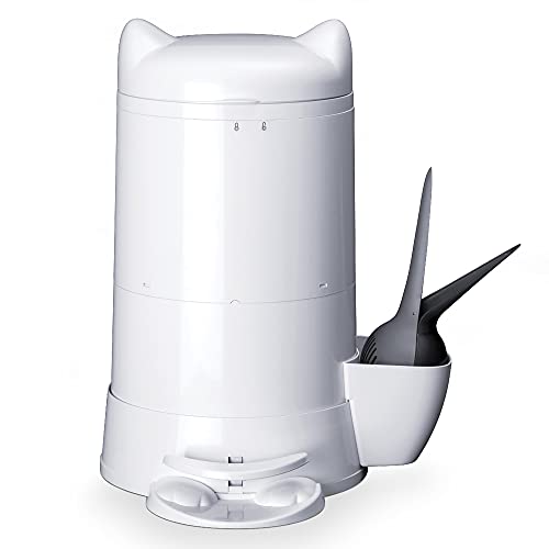 Kitty Litter Rocket Fuel at Mary Howell blog