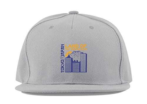 Casquette Tokyo Japan casquette de baseball coton visière plate sport respirant gris
