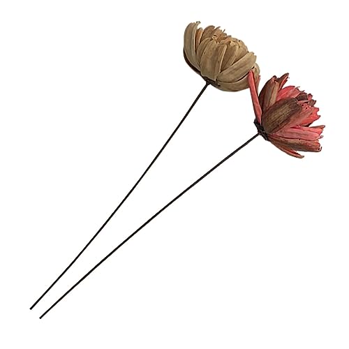 Amosfun Elegante Ramo De Flores Secas para La Oficina En Casa. Compre Decoración con Flores Secas Botánicas Naturales.