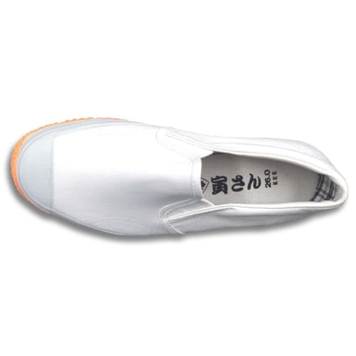 [tN}S] eЂ eЃT zCg 25 3E