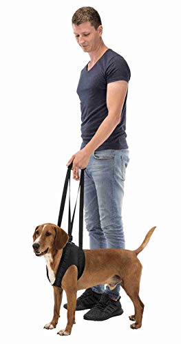 Trixie 19408 Gehhilfe, L–XL: 75–85 cm, schwarz