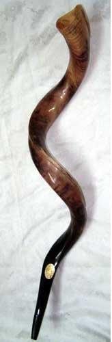 shofar