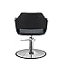 Salon Styling Chair Richardson BLK for Beauty Salon Furniture