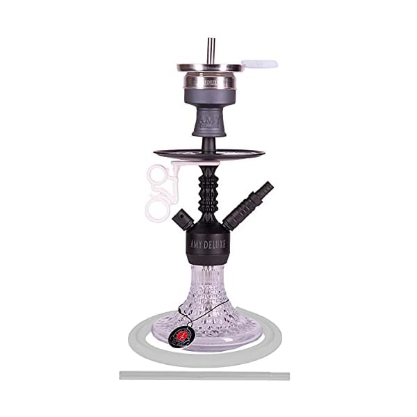 Amy Deluxe Shisha 072.03 Antique Berry Mini - 44 cm, Clear RS Black, Wasserpfeife mit Klick, Schliff, Kammernsystem und…