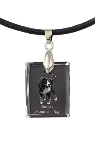 Preisvergleich Produktbild Berner Sennenhund, Hundekristallhalskette, Anhänger, Qualität, außergewöhnliches Geschenk, Sammlung