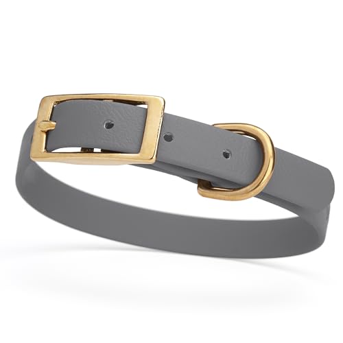 Image of Viper Biothane Heavy Duty Waterproof Dog Collar Strong Coated Nylon Webbing w /Solid Brass Hardware Odor-Proof Easy to Clean High Performance Fits Small Medium or Large Dogs, Battleship Gray