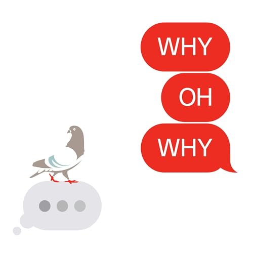 Find Your Single Ladies (Live in Chicago)