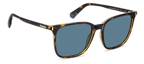 Polaroid PLD 6226/S DARK HAVANA/BLUE 54/17/140 women Sunglasses3