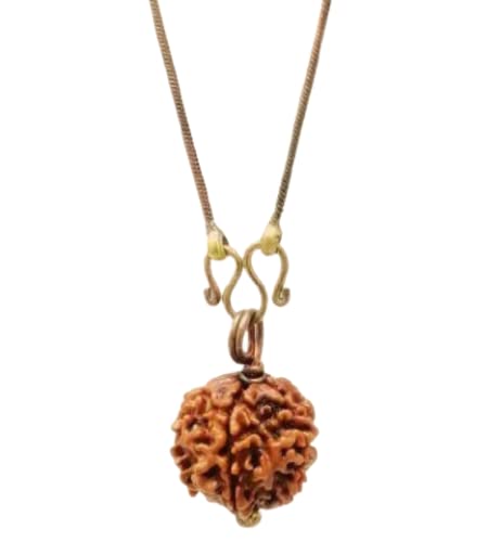 GenericAdiyogi Rudraksha with Chain Mala Necklace & Pendant For- 5 Faces Himalaya Natural Rudraksha, Brown, 17.5 Inch