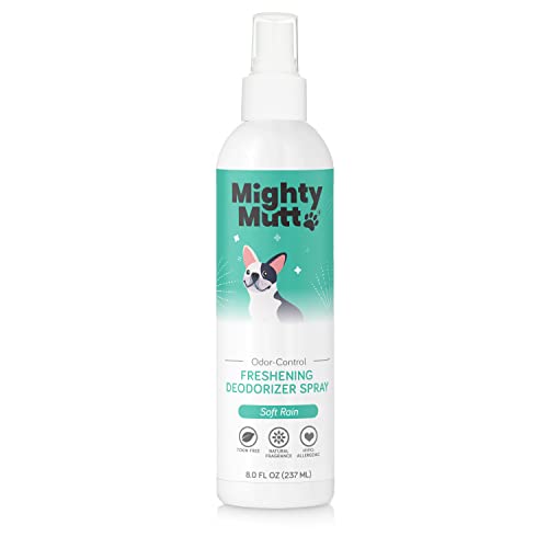 Best Natural Dog Sprays for Smell Get Rid of Odor and Keep Your Dog Fresh Counter Current