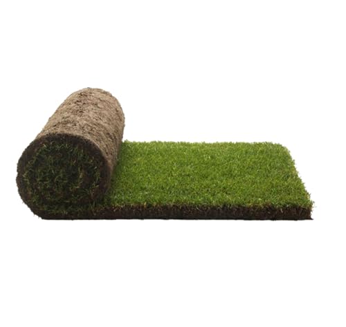 PetGround, Recambio de césped/Hierba 100% Natural para Caja, Alfombra Olfativa, para tu Mascota (S)