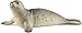 Schleich Wild Life, Realistic Ocean and Marine Animal Toys for Boys and Girls, Seal Toy Figurine, Ages 3+