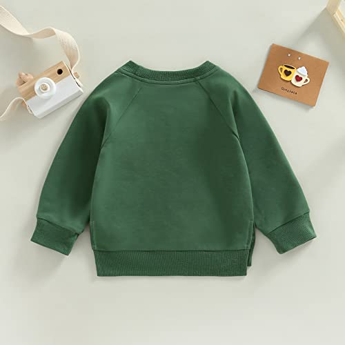 Toddler Baby Boy Girl Clothes Crewneck Sweatshirt Solid Color Long Sleeve Pullover Tops Fall Winter Casual Outfit3