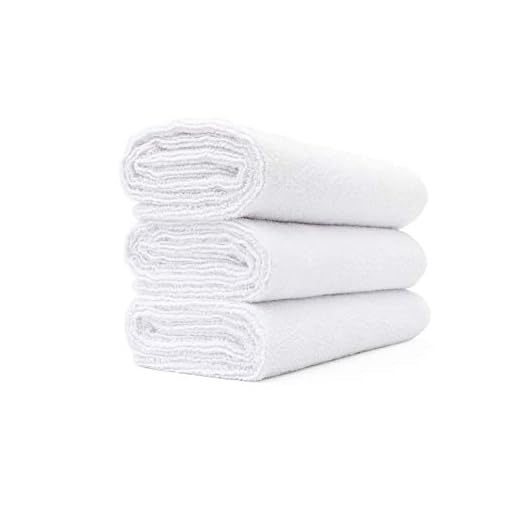 The Rag Company (3-Pack 16 in. x 27 in. Spa, Gym, Yoga, Exercise, Fitness, Sport and Workout Towel - Ultra Soft, Super Absorbent, Fast Drying Premium Weight Microfiber Terry