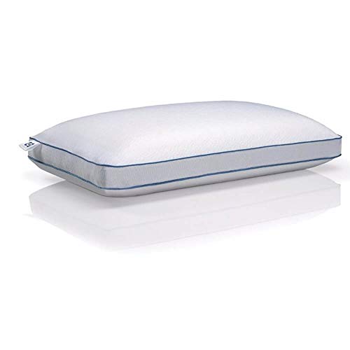Sealy 15334115 Cooling Memory Foam Pillow