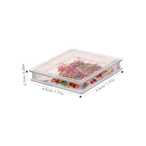 Decoración floral seca para uñas con caja portátil miniatura 4
