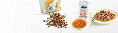 Kattovit Feline Diet Diabetes/Gewicht | 400 g | Trockenfutter für Katzen im Beutel | Zur Verringerung der Kalorienaufnahme | Hoher Proteingehalt zur Unterstützung der Muskeln