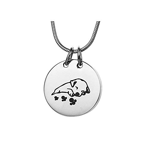 Preisvergleich Produktbild kliy Urnen & Asche Runder Tierurnen-Kastenanhänger Aus Edelstahl