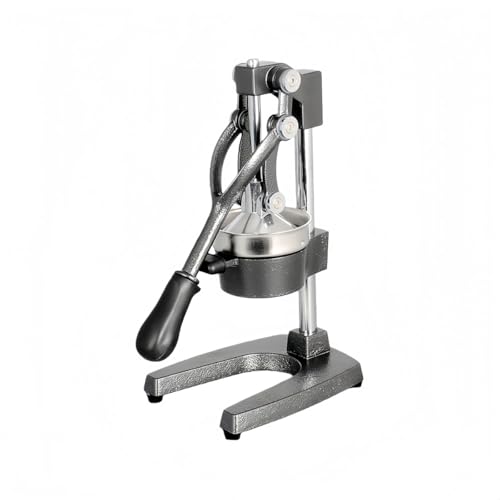 VZXnhW[T[ʏ`i蓮W[T[nhu_[XeXʏ`W[XitbVW[T[t[cڂƒpƖp (DF)