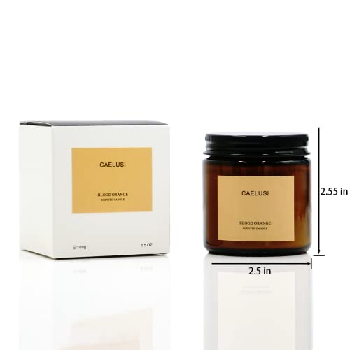 Caelusi Candles For Home Scented Aromatherapy Candles Natural Soy Wax Candles Gifts For Women/Men Premium Candle With Essential Oils Long Lasting Amber Jar Candles(Citrus Sweet Orange 1 Jar 8.5 Oz) #TOP1