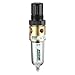 Filter/Regulator, 1/4in NPT w/Brass Body