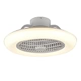 【FÁCIL DE INSTALAR】 La mayoría de las piezas funcionales se ensamblan y atornillan directamente al techo, se incluye todo el hardware de montaje, lo que le permite instalarlo rápida y fácilmente. El ventilador es fácil de desmontar y limpiar, desconecte la alimentación cuando limpie.