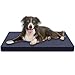 Hund und günstig Kaufen-MyBestBuddy Hundekissen Premium orthopädisch mit 3 cm Vollschaum-Kern grau 70x50 cm M, Hundematte mit Stoffbezug, 40°C waschbar, allergikerfreundlich - Hundebett für kleine Hunde, 70 x 50 cm