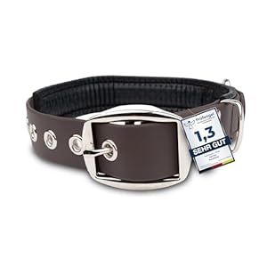 PetTec Trioflex™ Padded Dog Collar, Weatherproof, Water Resistant & Robust in Red, Brown, Black or Orange