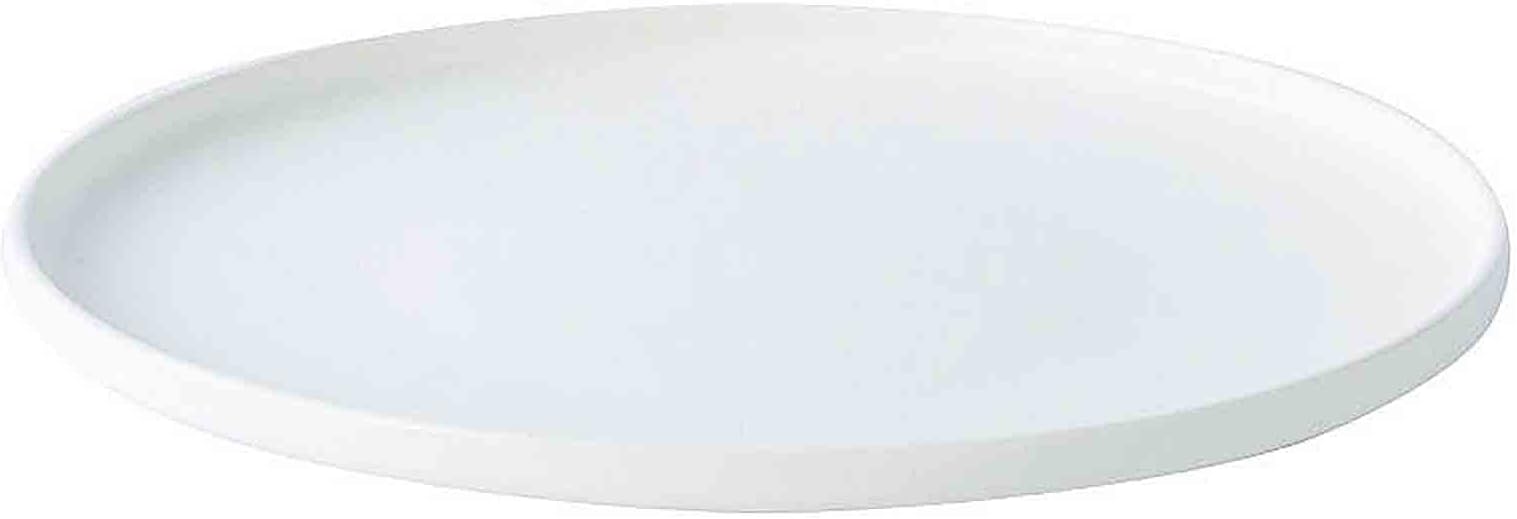 10 Inches Large Ceramic Plate, 25cm Dinner Plates Matte White, Dishwasher & Microwave Safe, Easy Storage Stackable Design