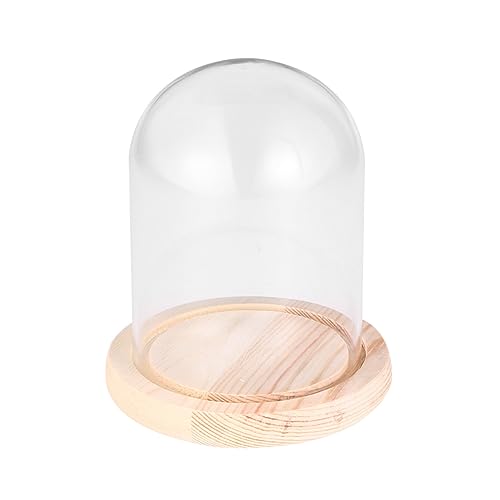 Cabilock Glass Dome Flower Dome Cover Transparent Glass Cover Flower Glass Cover