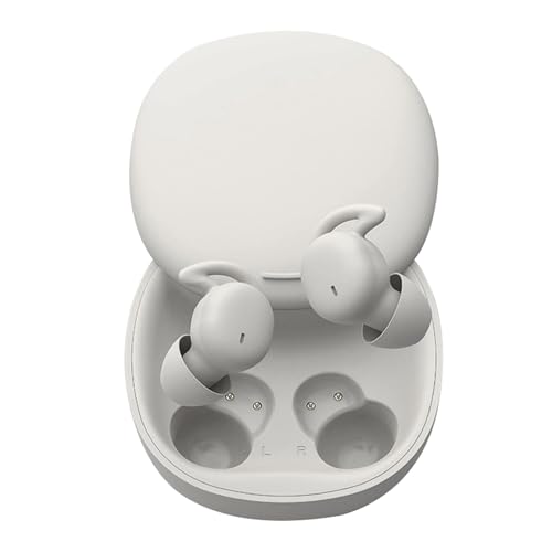 Cz 2024 Qp mCYՒf pCz pwbhtH ^̐̌