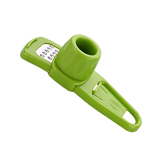 Hilaï 1 pcs Presse-ail Crusher Squeezer/gingembre Ail broyage Rabot râpe trancheuse Cutter pour Professional Restaurant Hôtel Home Kitchenfruits et légumes Fleurs Creative Ustensiles de Cuisine