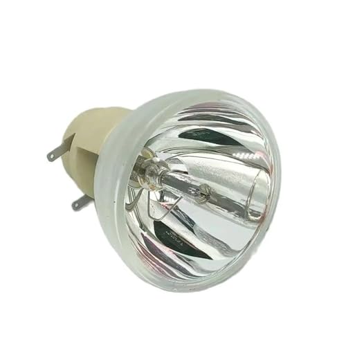 Ampoule projecteur DLP P-VIP 245 0.8 E30.5 lampe de rechange 245W